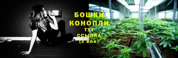 PSILOCYBIN Алексин